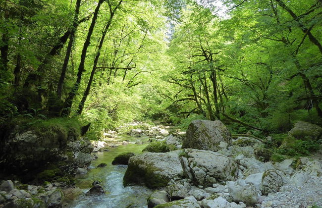 Alpine Getaway for Families - Foto 38