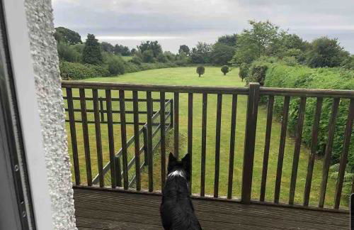 Spacious holiday home with stunning sea views - Photo 10