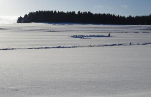 Deine-Eifel-Ferienwohnung - Foto 53