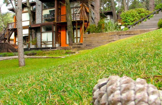 Altos Medanos - Cabañas y Club de Bosque - Foto 33