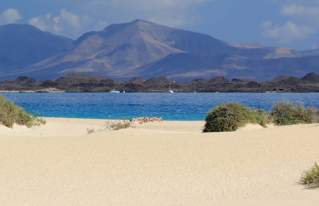 Excursion libre aux dunes de Fuerteventura - Photo 1