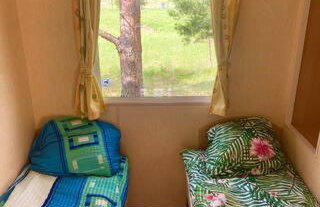 Holenderki na Zielonych Wzgórzach, Łowyń - Foto 20