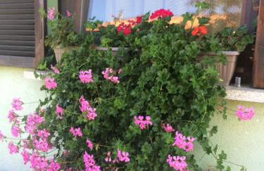 Holiday Home Mađerka - Foto 17