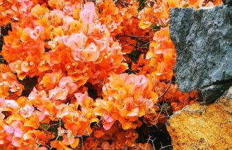 Finca La Punta - Foto 7