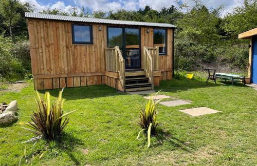 Pembrokeshire Shepherd hut with hottub - Foto 7