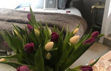 ACADAMIS - Suites & Junior Suites - Foto 14