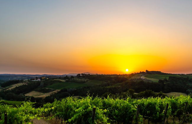 Villa Panconesi - Foto 64