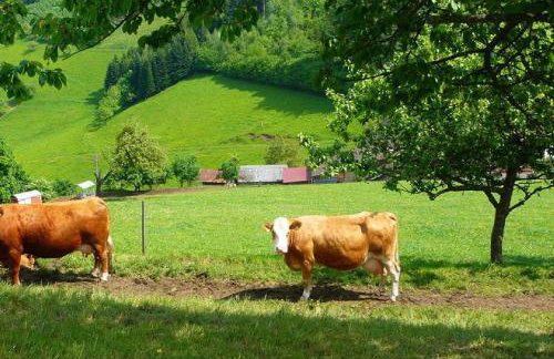 Ziegelhof - Foto 6