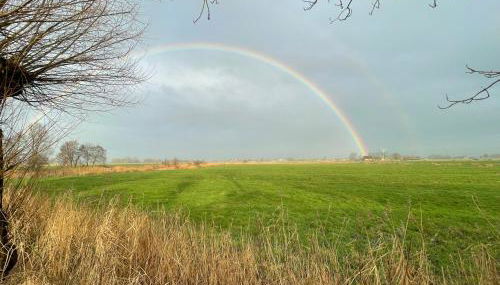 Ferienhaus Funnix Haus Seeblick - Foto 2