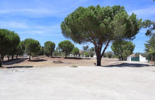 Monte Santo - Foto 35