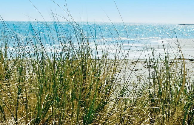 4 Star Holiday Home in Asa-by Traum - Foto 22