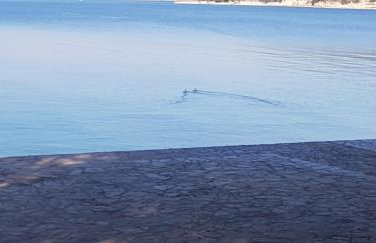 Apartman Lane - Foto 42