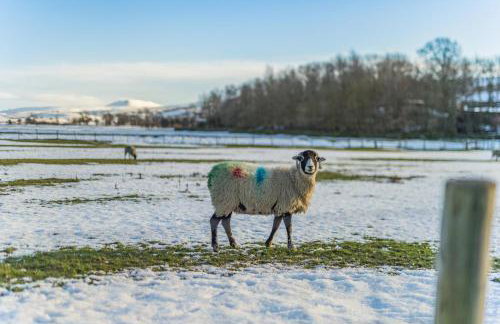 2 Bed in Hawes oc-b30521 - Foto 25