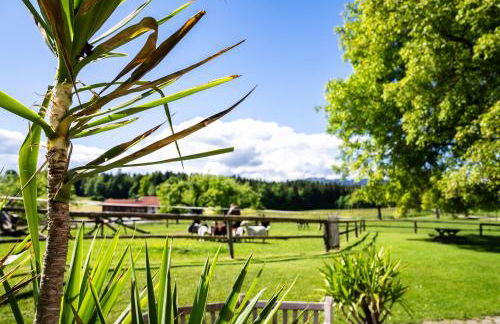 Thalerbauer Ferienwohnungen - Foto 30