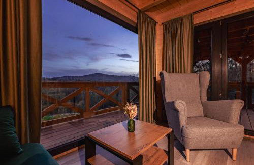 Harmonia Lasu - Foto 2