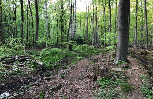 Ferienwohnungostseeblick - Foto 26