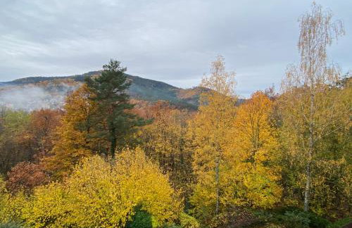 Gîte au nid de l’écureuil - Foto 6