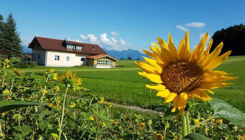 Gästehaus Annemarie - Foto 3