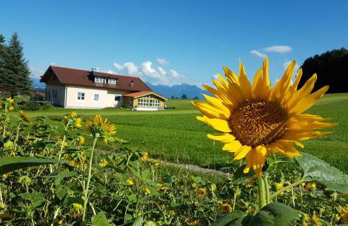 Gästehaus Annemarie - Foto 3