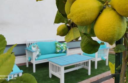 Medimare Residence Club - Foto 40