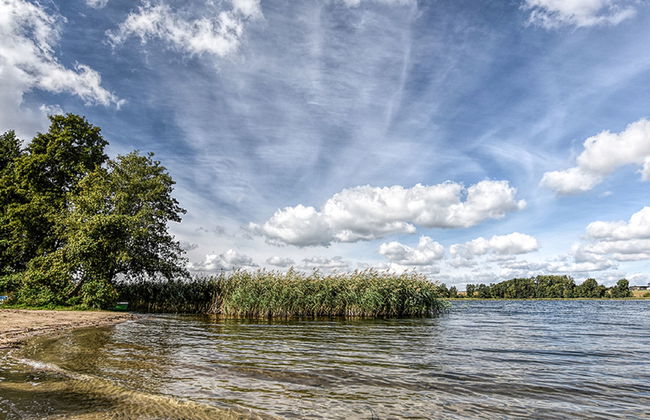 Skarlinówka - Foto 34