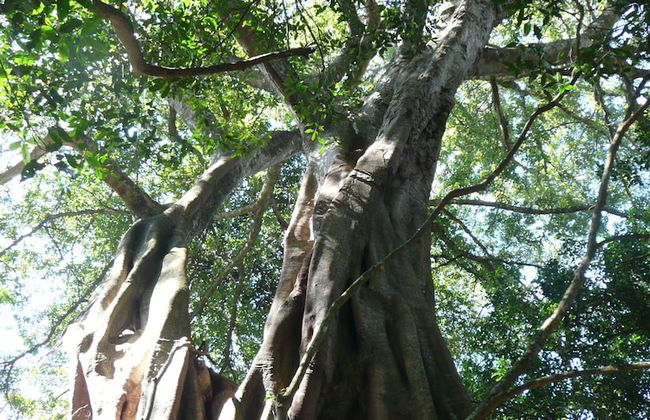 Madrugada Magic - Foto 23