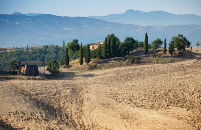 Charming Tuscan Farmhouse - Foto 36