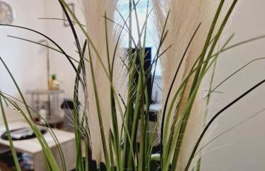 Welsh Retreat, BikeParkWales, Brecon Beacons, ZipWorld Tower - Foto 33