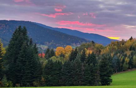 Ferienwohnung Osser Woid - Foto 35