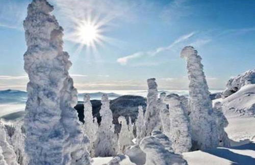 Ferienhaus in Konzell mit Terrasse - Foto 37