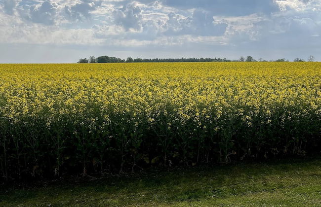 Guest Apartment Österlen Near Tosselilla & Golf Course - Foto 64