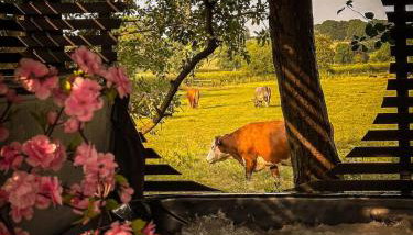 ADULT ONLY relax escape apartment hottub - Foto 5