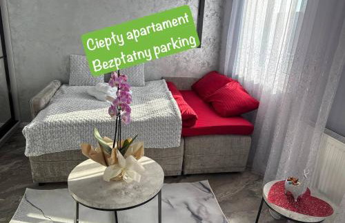 Studio Leszczyńskiego Przemyśl - Photo 4