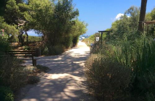 LA BADINE Accés direct à la plage clim balnéo piscine - Foto 33