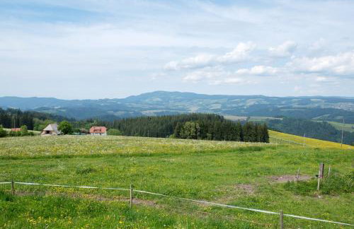 Bäuerleshütte - Photo 6