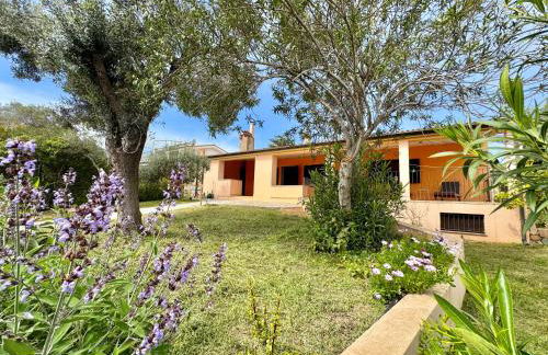 Sunrise Terrace - Foto 40