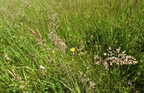 Gorski brlog - Kuće za odmor - Foto 76