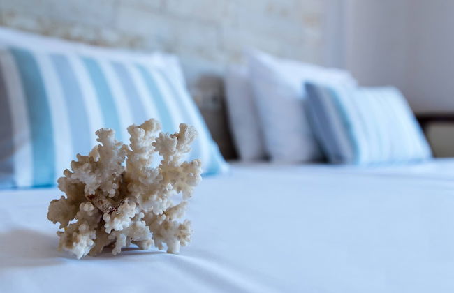 Ilios 1 Central - Foto 19