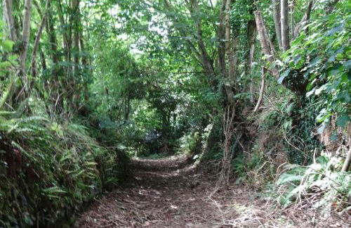 Swift Cottage - Foto 28