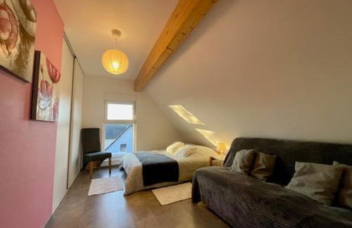 Chez L en Alsace Maison indépendante 8 pers Jardin & Cour privative - Photo 39