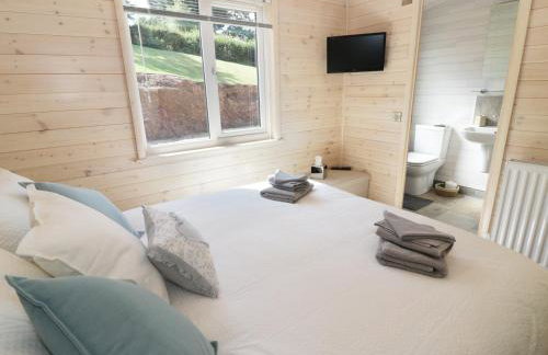 Kingfisher - Foto 11