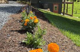 Winding Creek Cabin - Photo 50