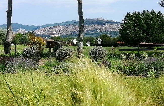 Il Fienile di Assisi - Foto 73