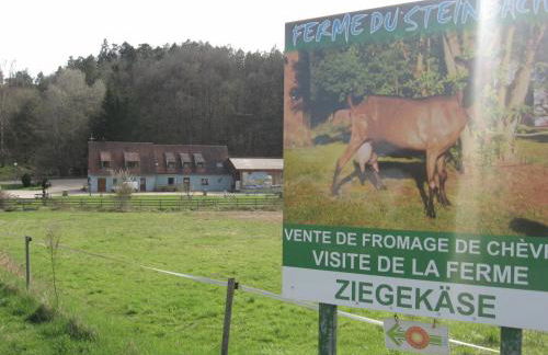 Meublés du 25 N3 Studio 1er Etage - Foto 29