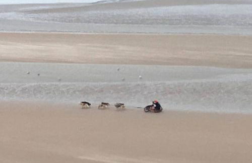 Entre dunes et mer - Foto 31