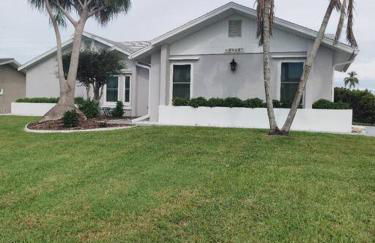 The Playful Pelican - Foto 1