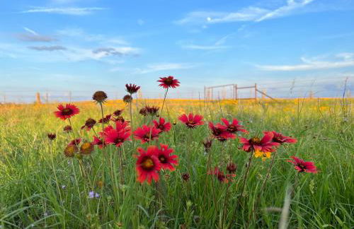 Hickory Ridge Hideaway Cabin - Romantic, Peaceful - Photo 12