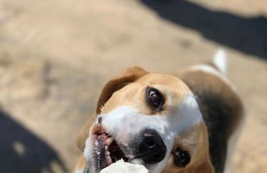 Cullen Holiday Home - Foto 51