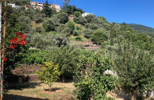 Manolates 360 - Photo 23