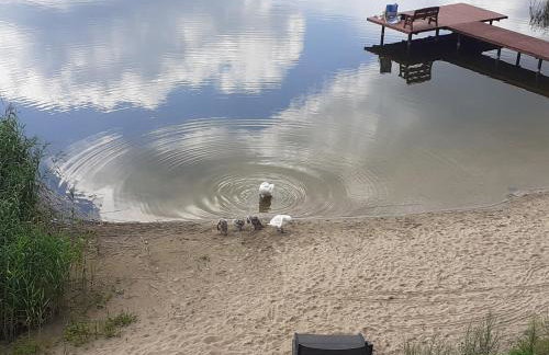 Mazurskie Klimaty Tatarak - Foto 41